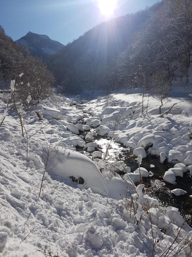 Chalets Mongioie Pra Di Roburent San Giacomo in Paludo Zewnętrze zdjęcie